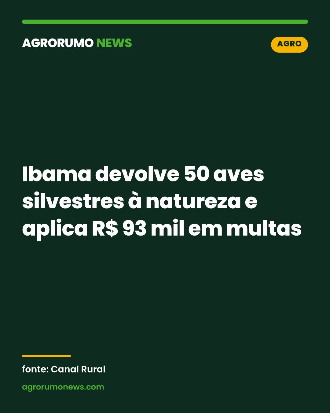 Ibama devolve 50 aves silvestres à natureza e aplica R$ 93 mil em multas
