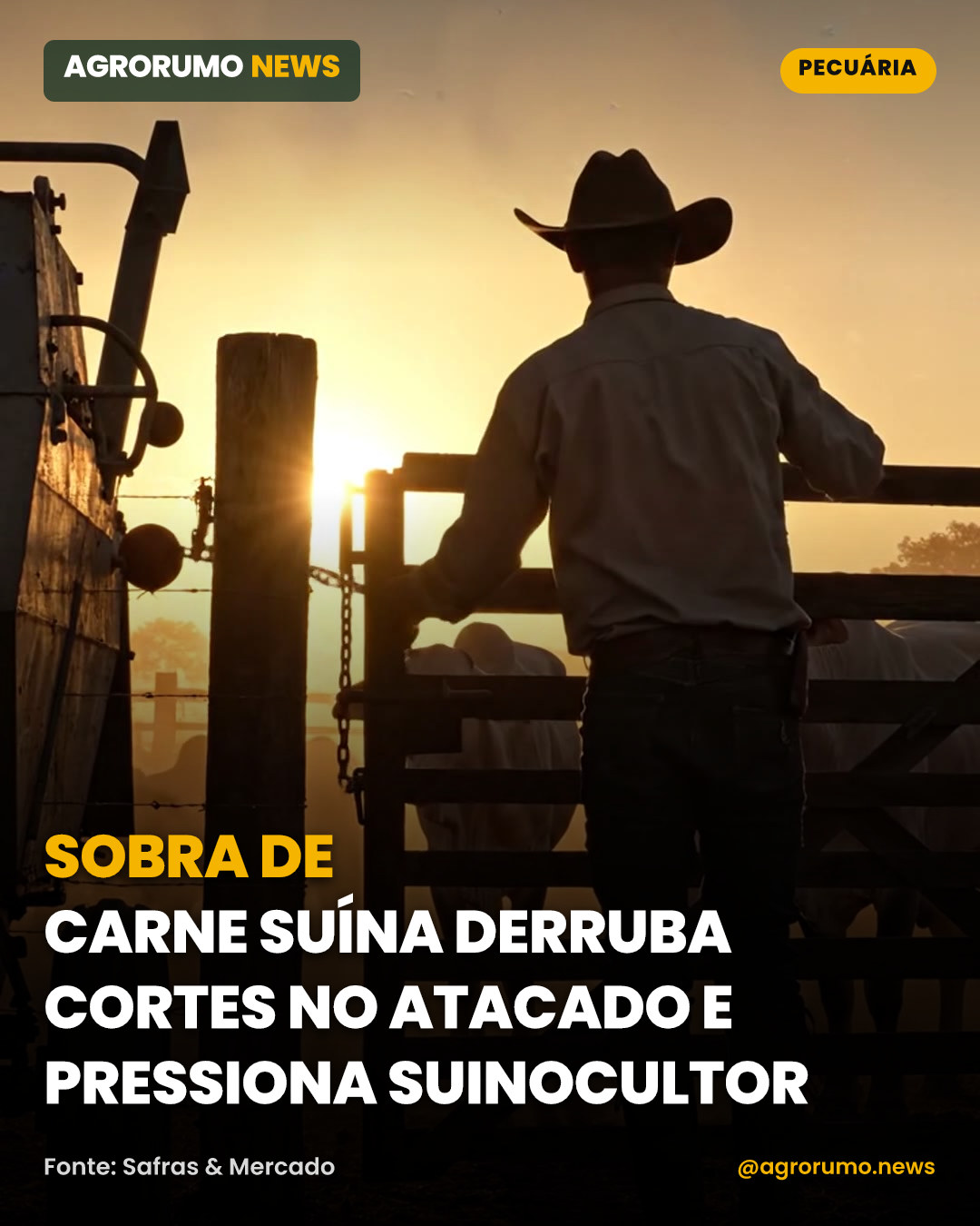 Sobra de carne suína derruba cortes no atacado e pressiona suinocultor