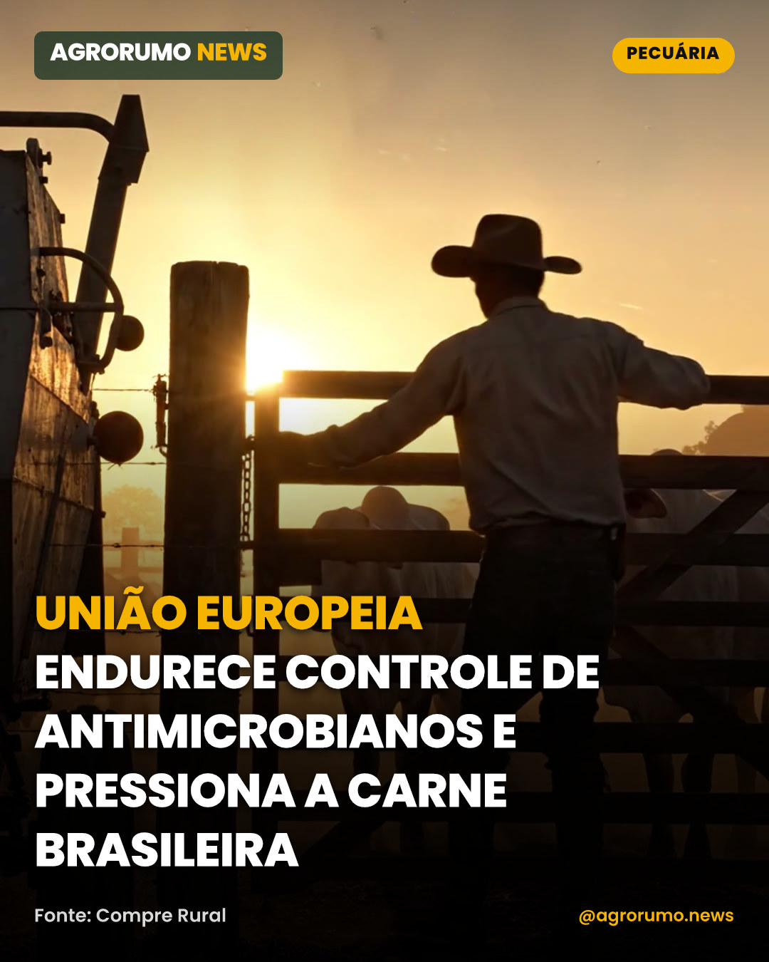 União Europeia endurece controle de antimicrobianos e pressiona a carne brasileira