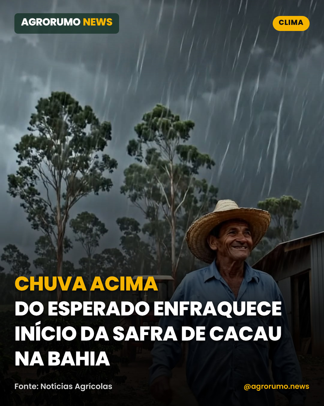 Chuva acima do esperado enfraquece início da safra de cacau na Bahia