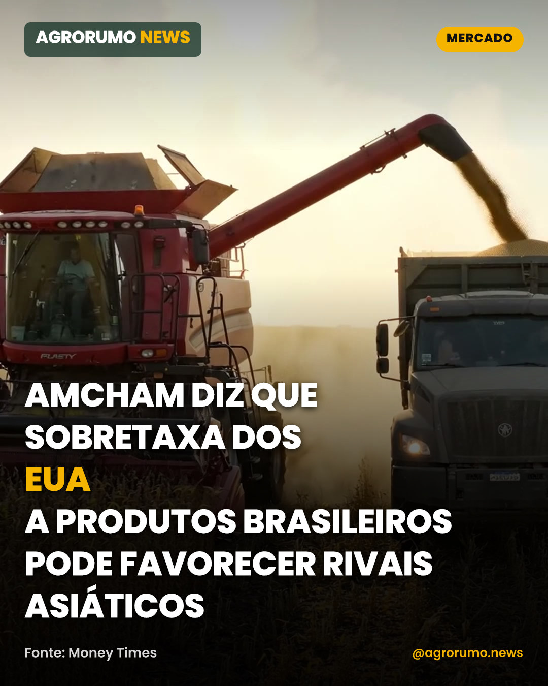 AmCham diz que sobretaxa dos EUA a produtos brasileiros pode favorecer rivais asiáticos