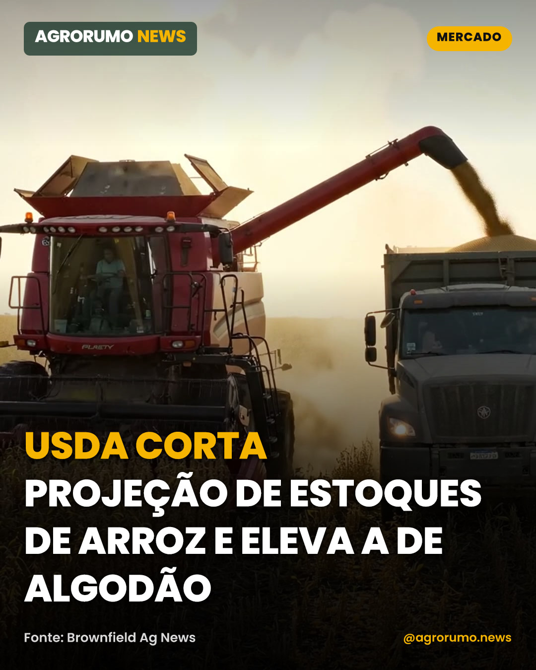 USDA corta projeção de estoques de arroz e eleva a de algodão