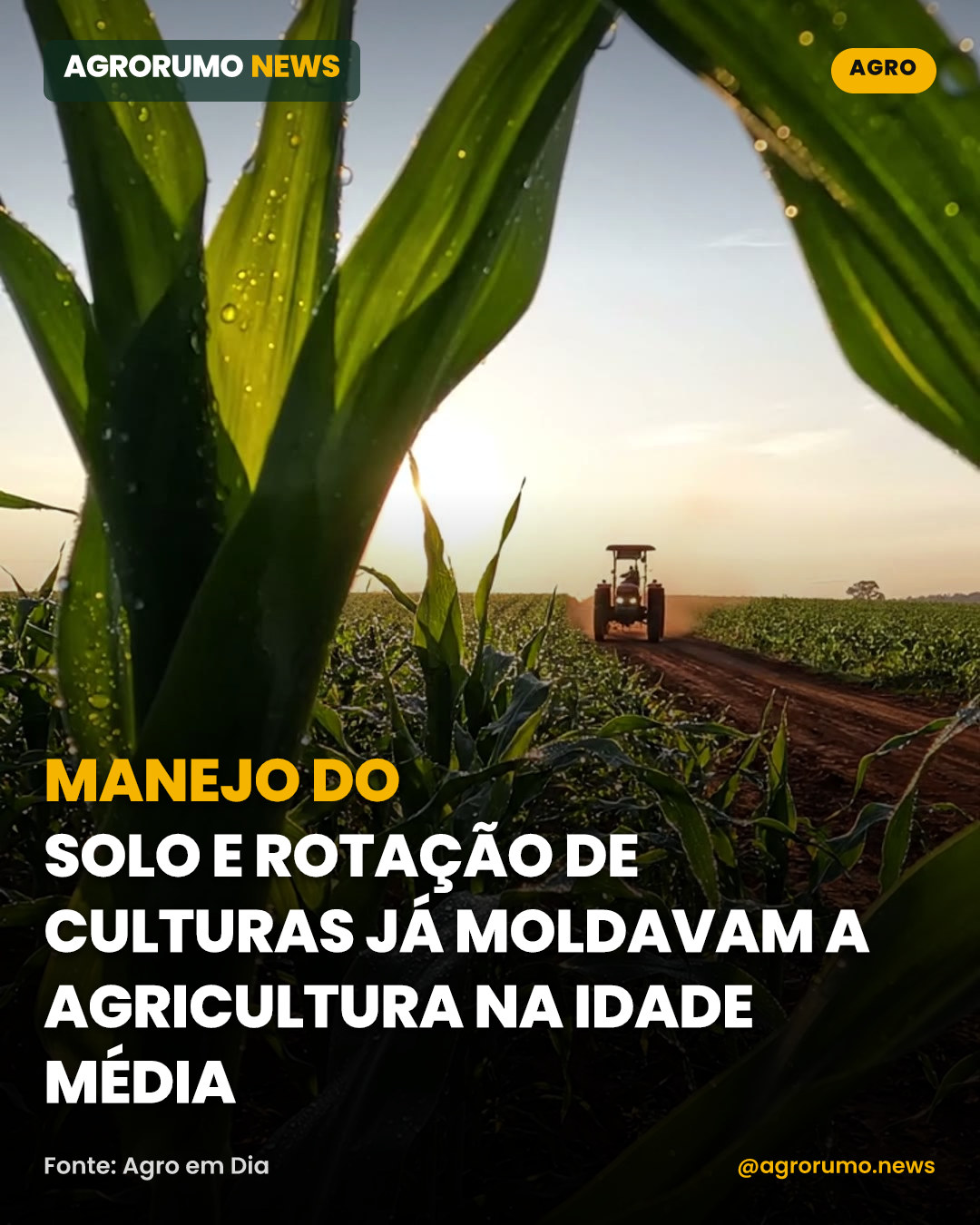 Manejo do solo e rotação de culturas já moldavam a agricultura na Idade Média