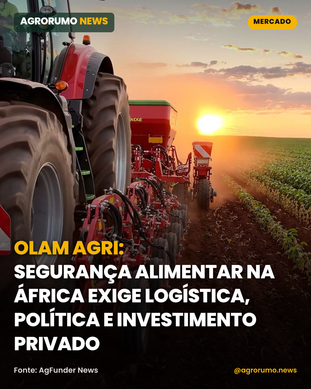 Olam Agri: segurança alimentar na África exige logística, política e investimento privado