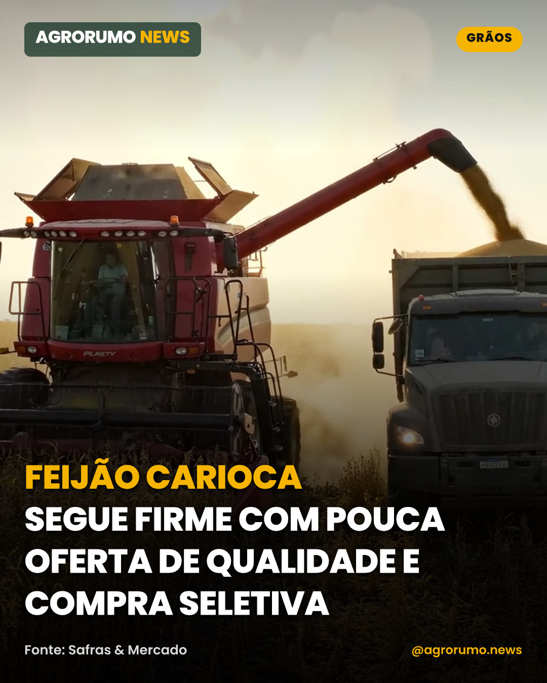 Feijão carioca segue firme com pouca oferta de qualidade e compra seletiva