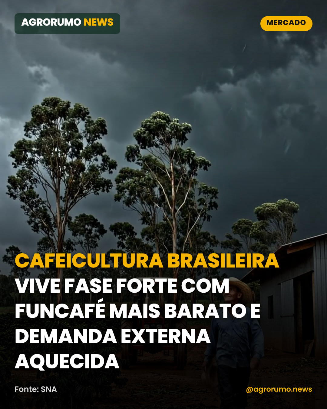 Cafeicultura brasileira vive fase forte com Funcafé mais barato e demanda externa aquecida