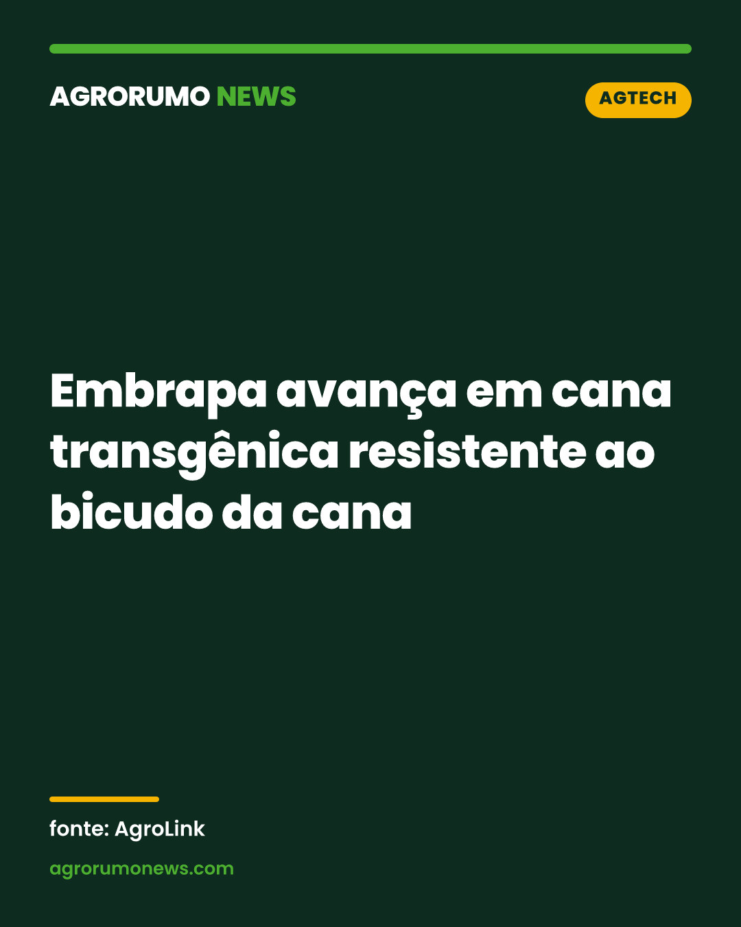 Embrapa avança em cana transgênica resistente ao bicudo da cana