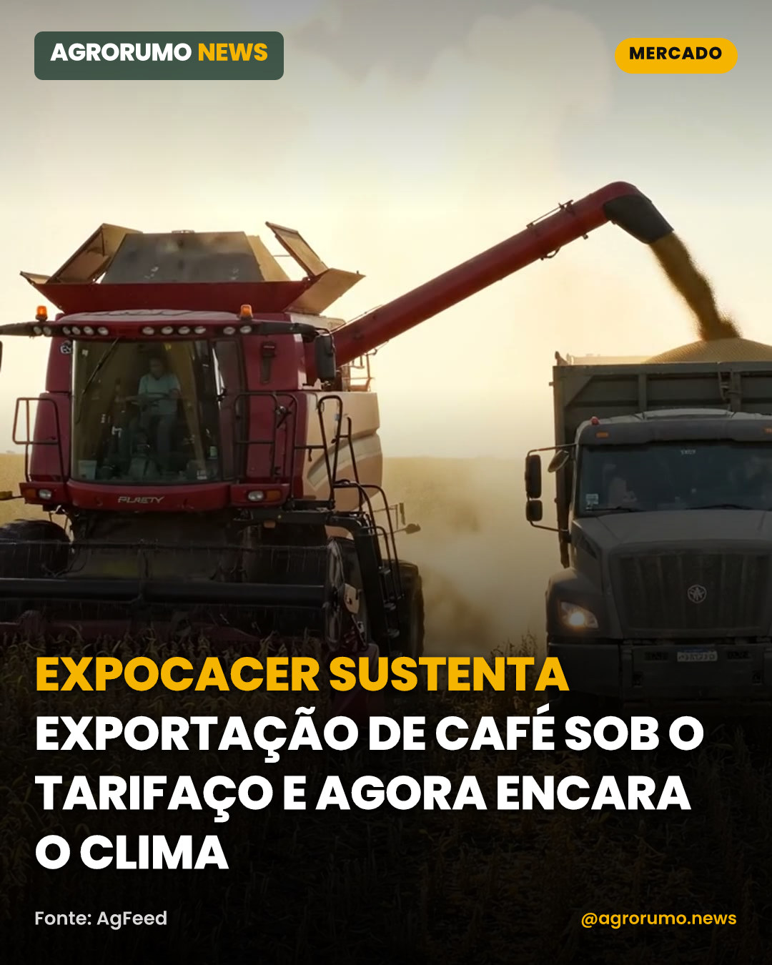Expocacer sustenta exportação de café sob o tarifaço e agora encara o clima