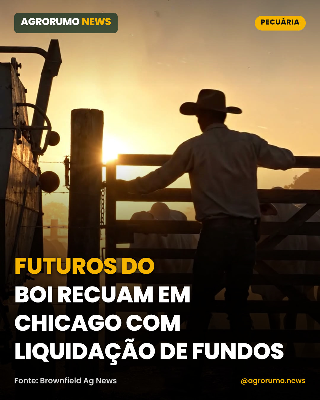 Futuros do boi recuam em Chicago com liquidação de fundos