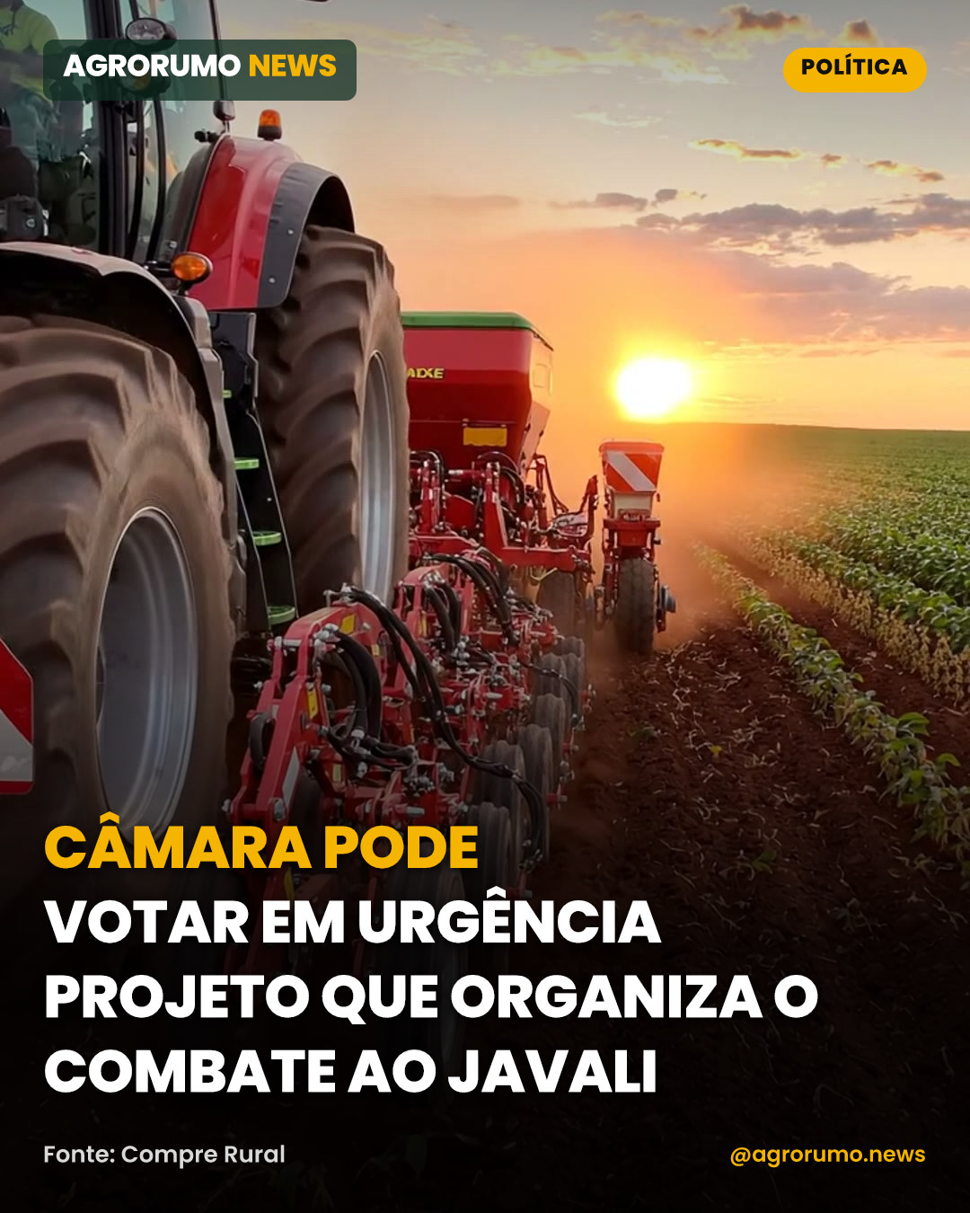 Câmara pode votar em urgência projeto que organiza o combate ao javali
