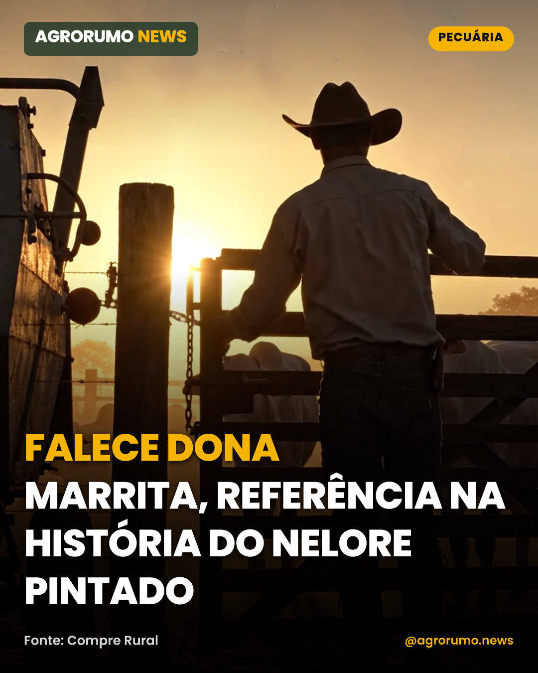 Falece Dona Marrita, referência na história do Nelore Pintado
