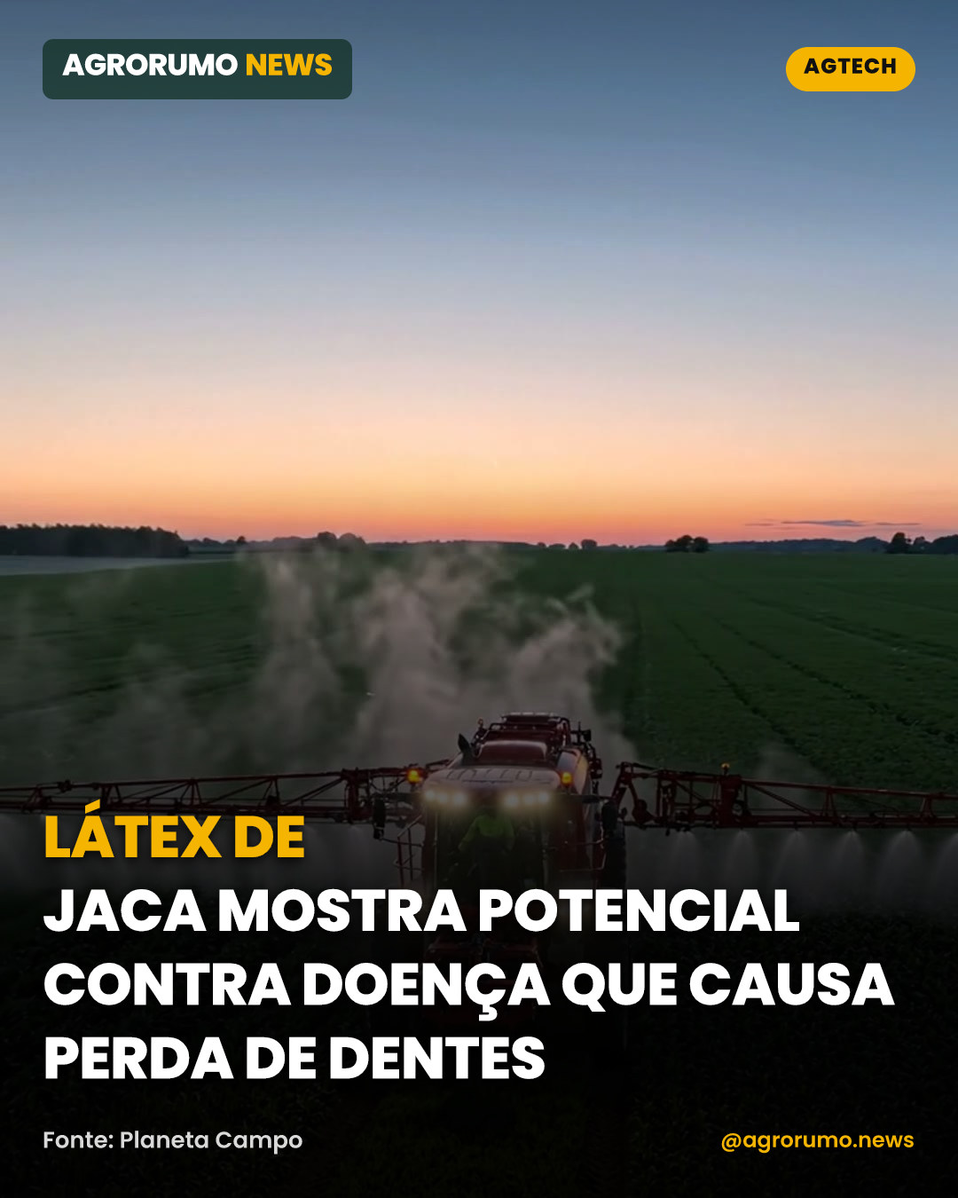 Látex de jaca mostra potencial contra doença que causa perda de dentes