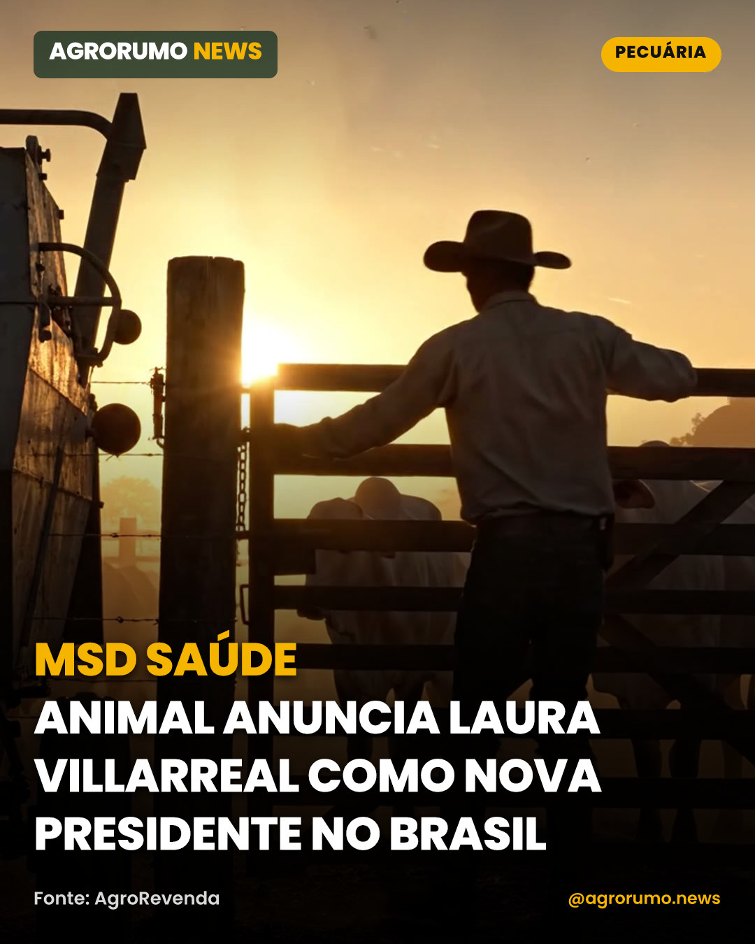 MSD Saúde Animal anuncia Laura Villarreal como nova presidente no Brasil