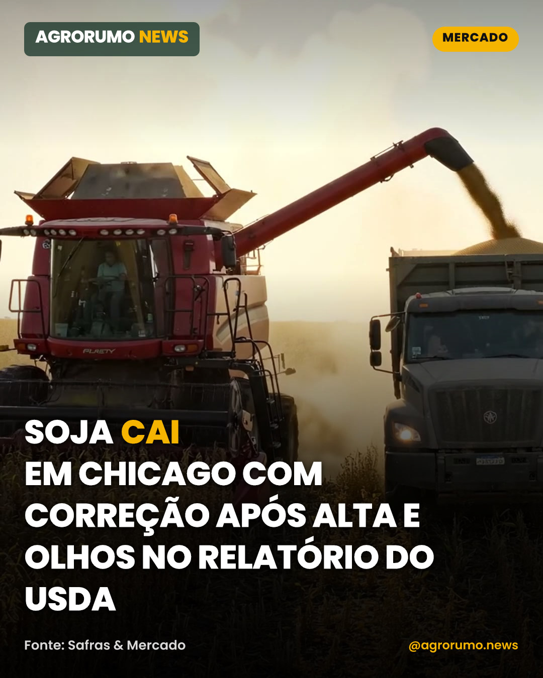 Soja cai em Chicago com correção após alta e olhos no relatório do USDA