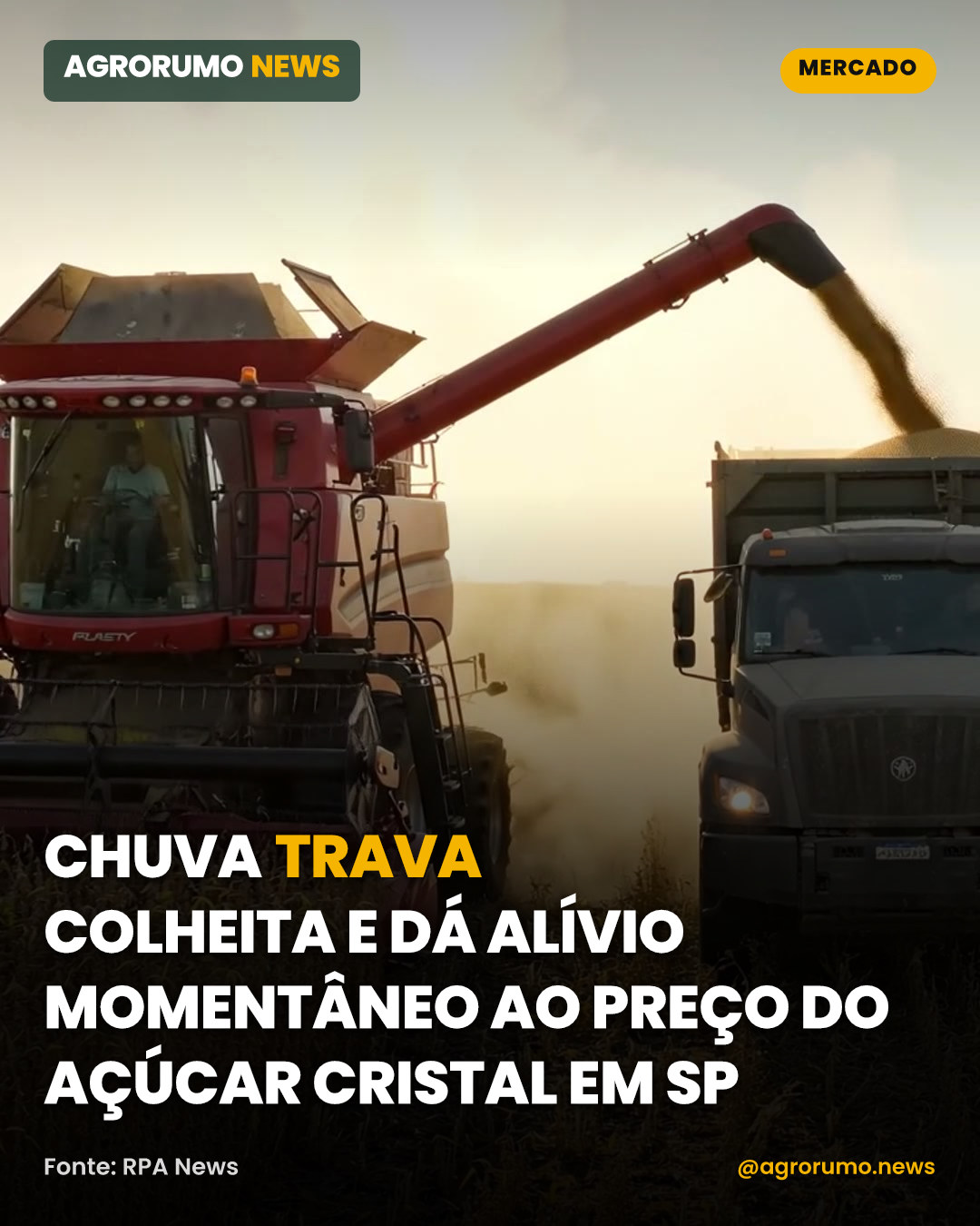 Chuva trava colheita e dá alívio momentâneo ao preço do açúcar cristal em SP