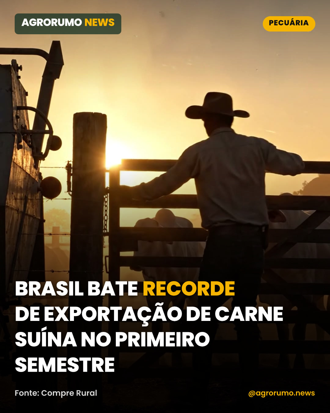 Brasil bate recorde de exportação de carne suína no primeiro semestre