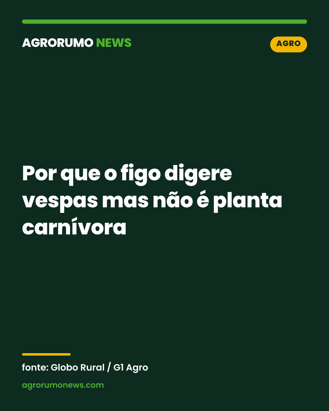 Por que o figo digere vespas mas não é planta carnívora
