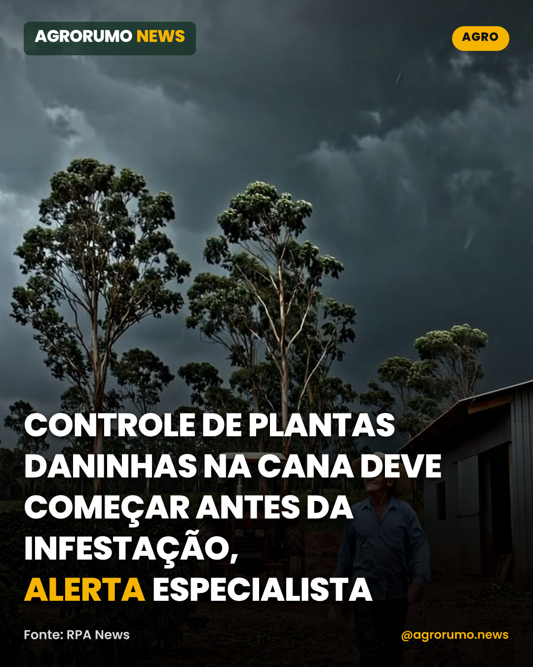 Controle de plantas daninhas na cana deve começar antes da infestação, alerta especialista