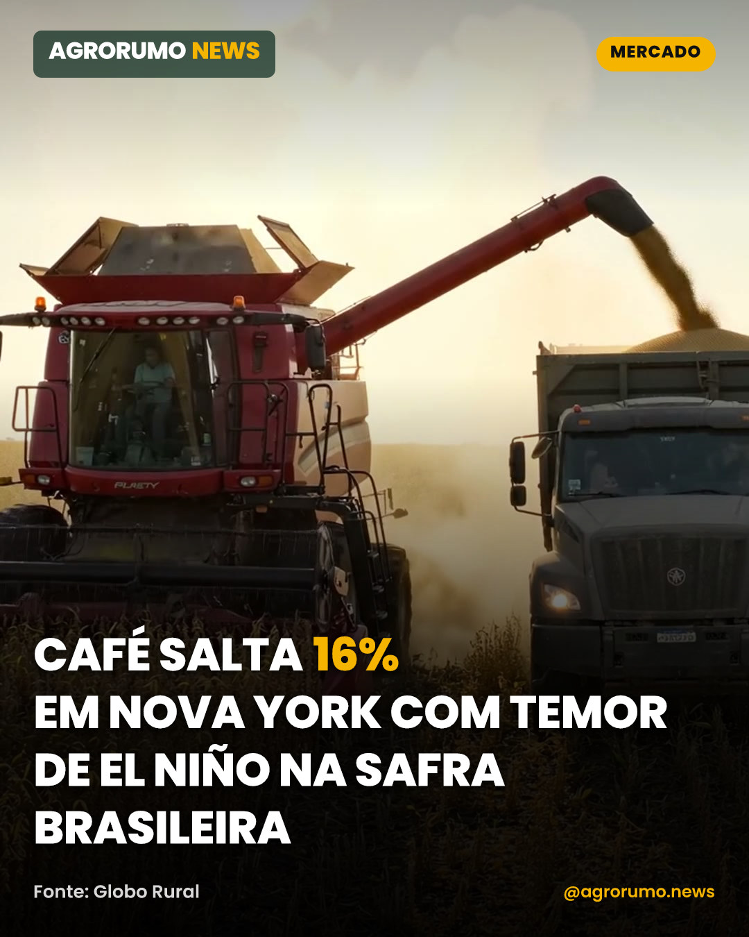 Café salta 16% em Nova York com temor de El Niño na safra brasileira