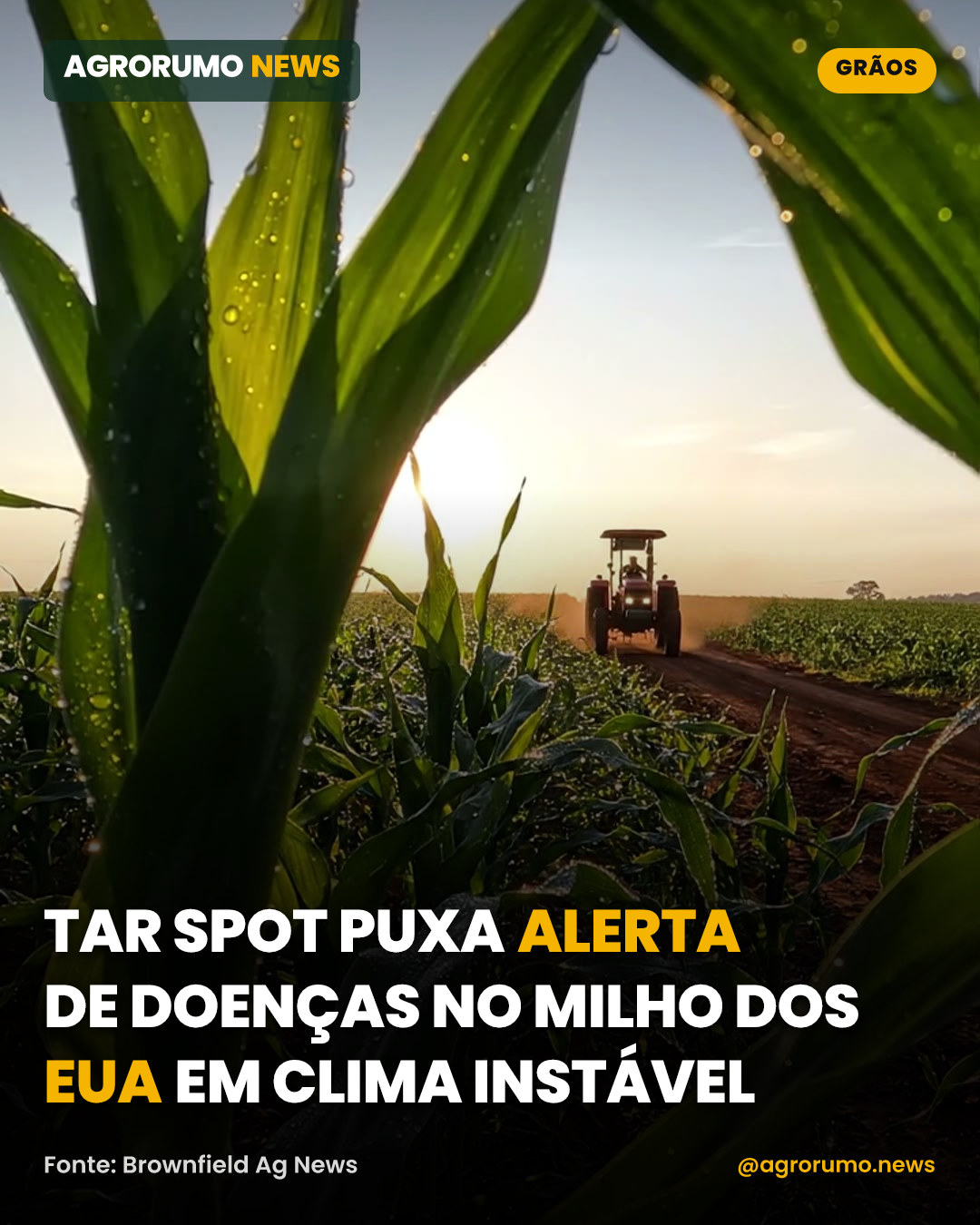 Tar spot puxa alerta de doenças no milho dos EUA em clima instável