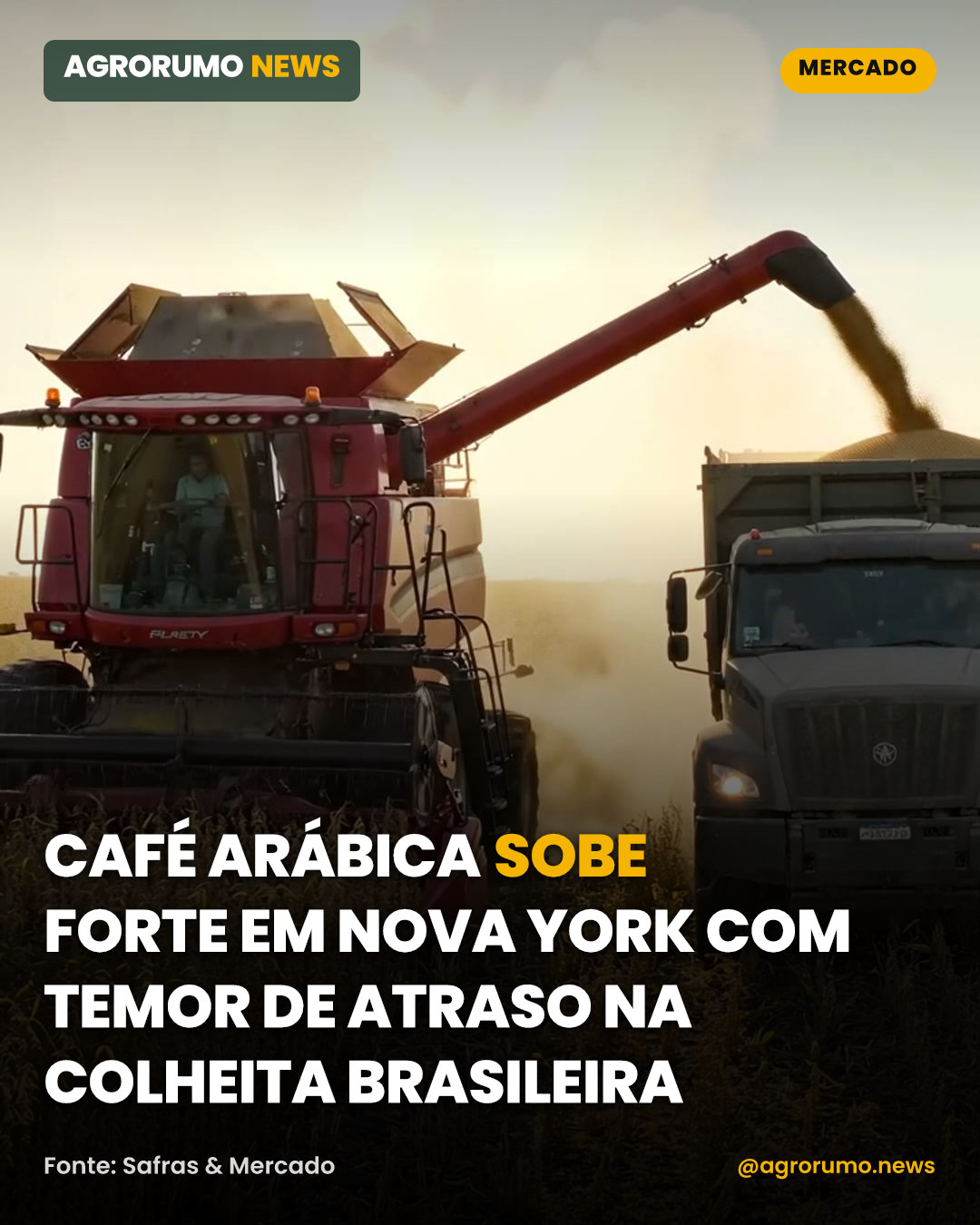 Café arábica sobe forte em Nova York com temor de atraso na colheita brasileira