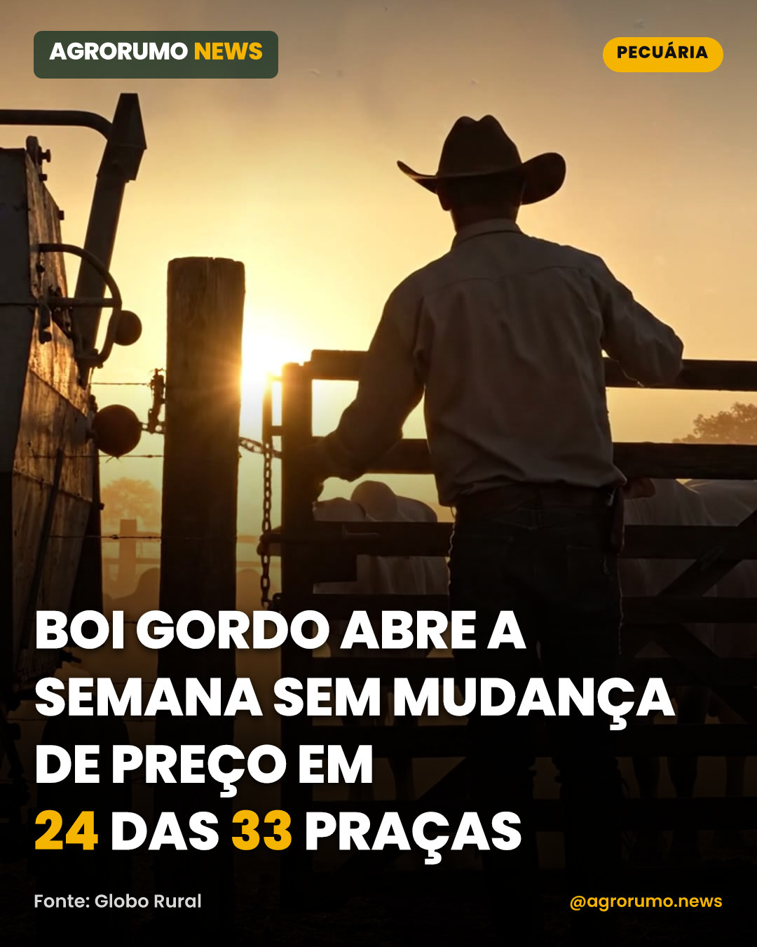 Boi gordo abre a semana sem mudança de preço em 24 das 33 praças