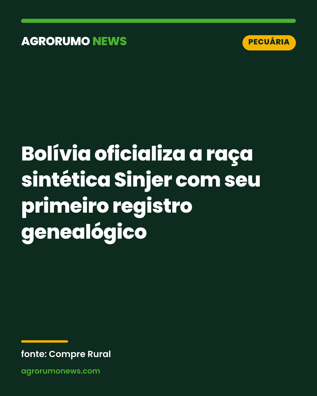Bolívia oficializa a raça sintética Sinjer com seu primeiro registro genealógico
