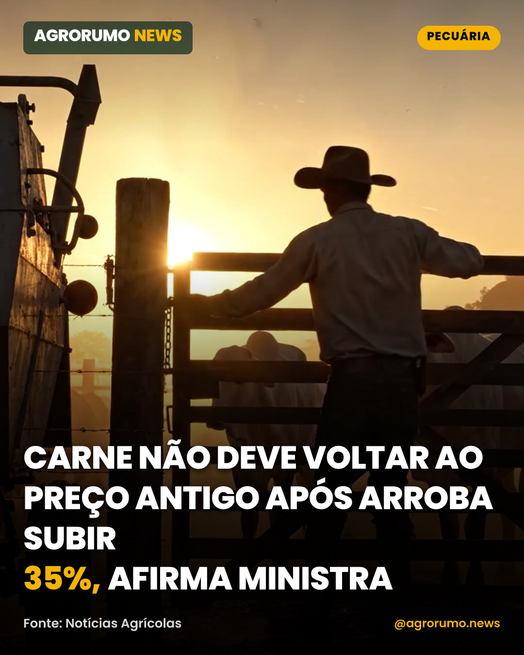 Carne não deve voltar ao preço antigo após arroba subir 35%, afirma ministra