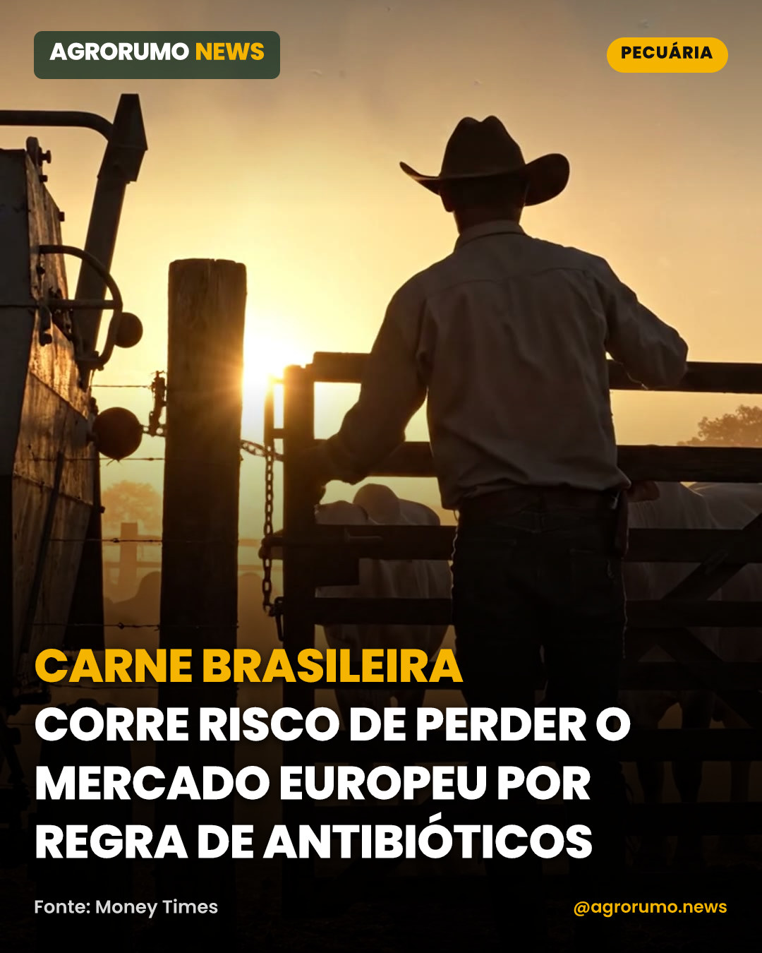 Carne brasileira corre risco de perder o mercado europeu por regra de antibióticos