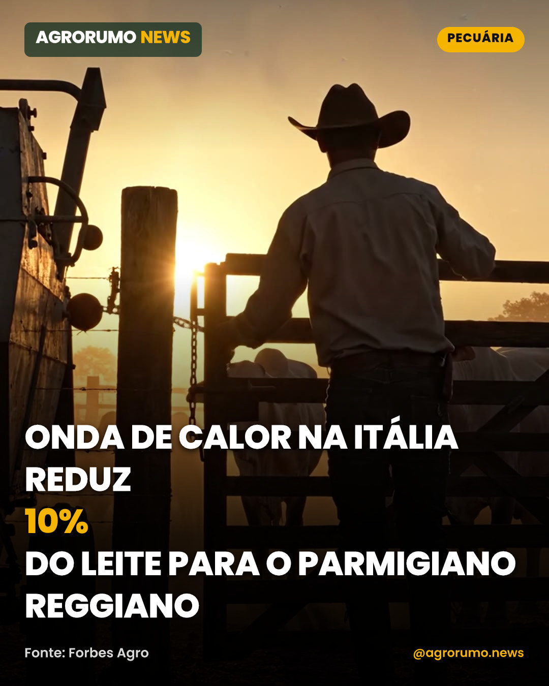 Onda de calor na Itália reduz 10% do leite para o Parmigiano Reggiano