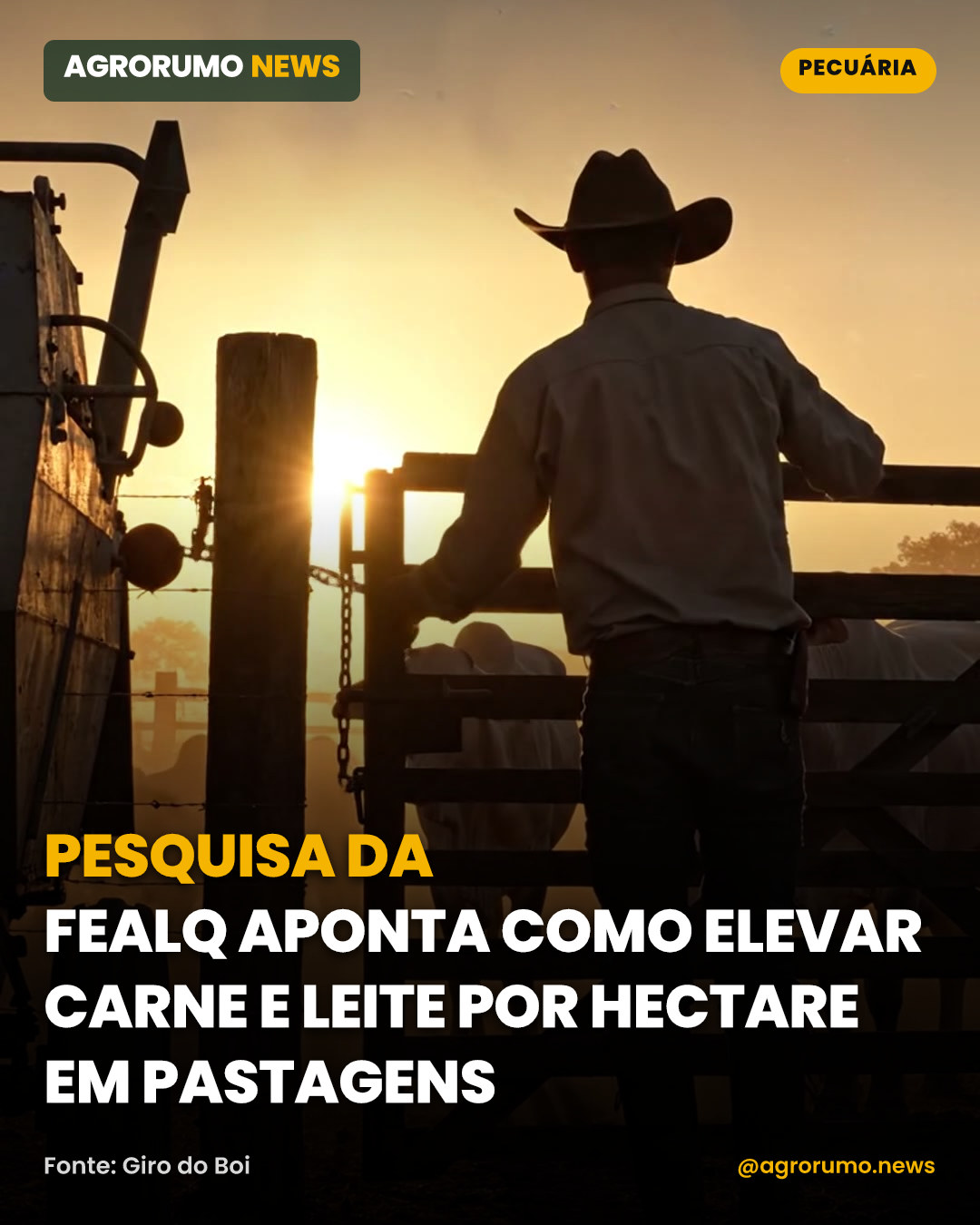 Pesquisa da Fealq aponta como elevar carne e leite por hectare em pastagens