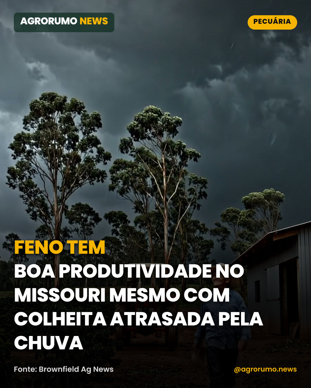 Feno tem boa produtividade no Missouri mesmo com colheita atrasada pela chuva