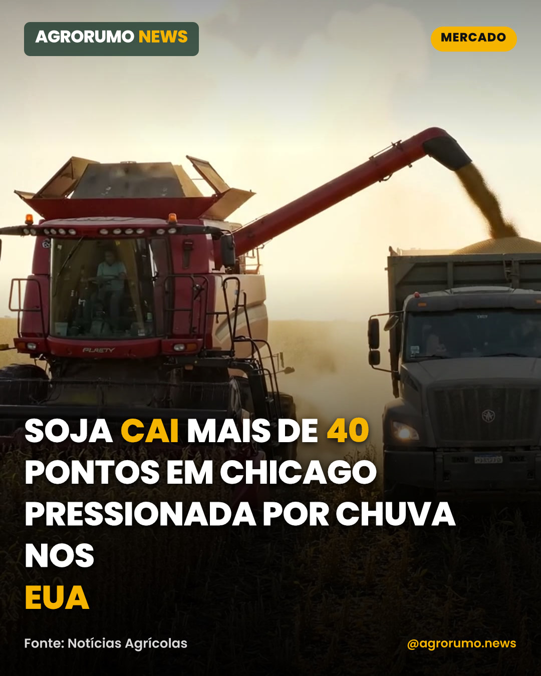 Soja cai mais de 40 pontos em Chicago pressionada por chuva nos EUA