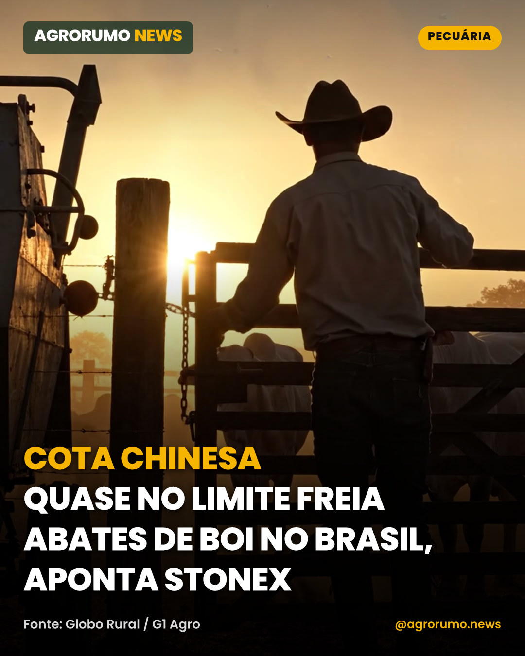 Cota chinesa quase no limite freia abates de boi no Brasil, aponta StoneX