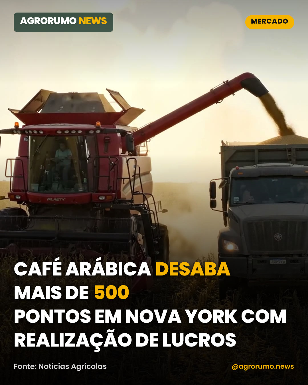 Café arábica desaba mais de 500 pontos em Nova York com realização de lucros