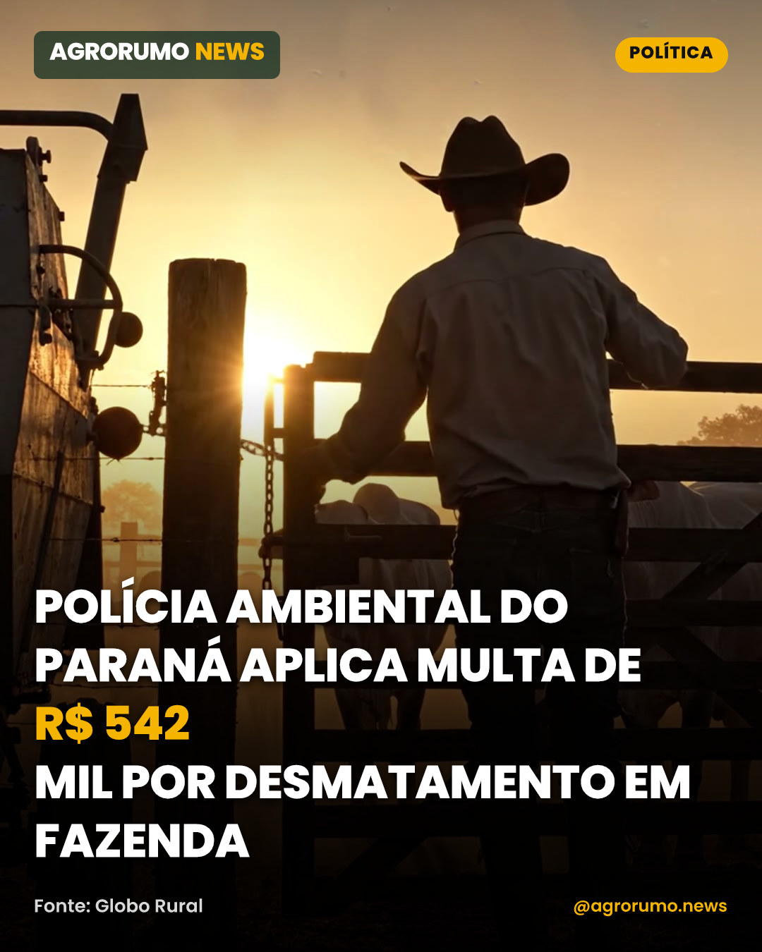 Polícia Ambiental do Paraná aplica multa de R$ 542 mil por desmatamento em fazenda