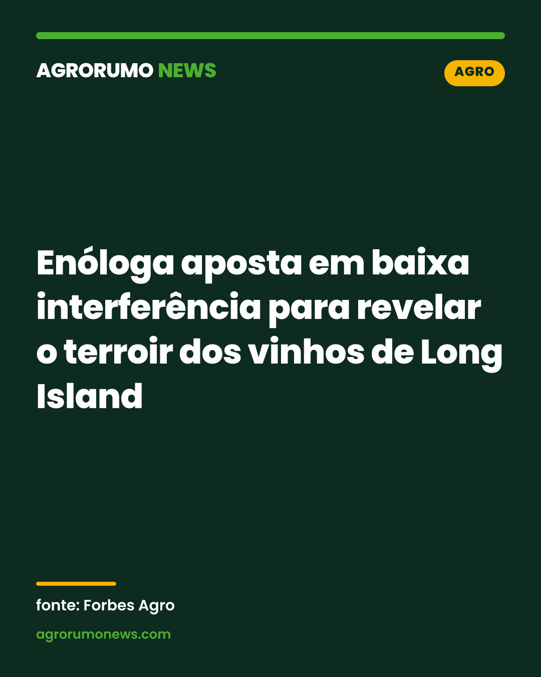 Enóloga aposta em baixa interferência para revelar o terroir dos vinhos de Long Island