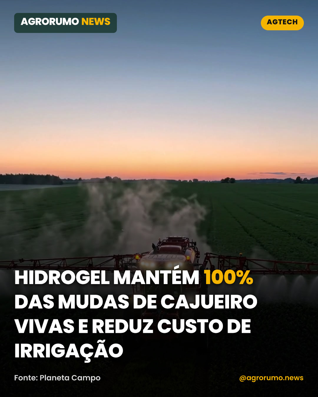 Hidrogel mantém 100% das mudas de cajueiro vivas e reduz custo de irrigação