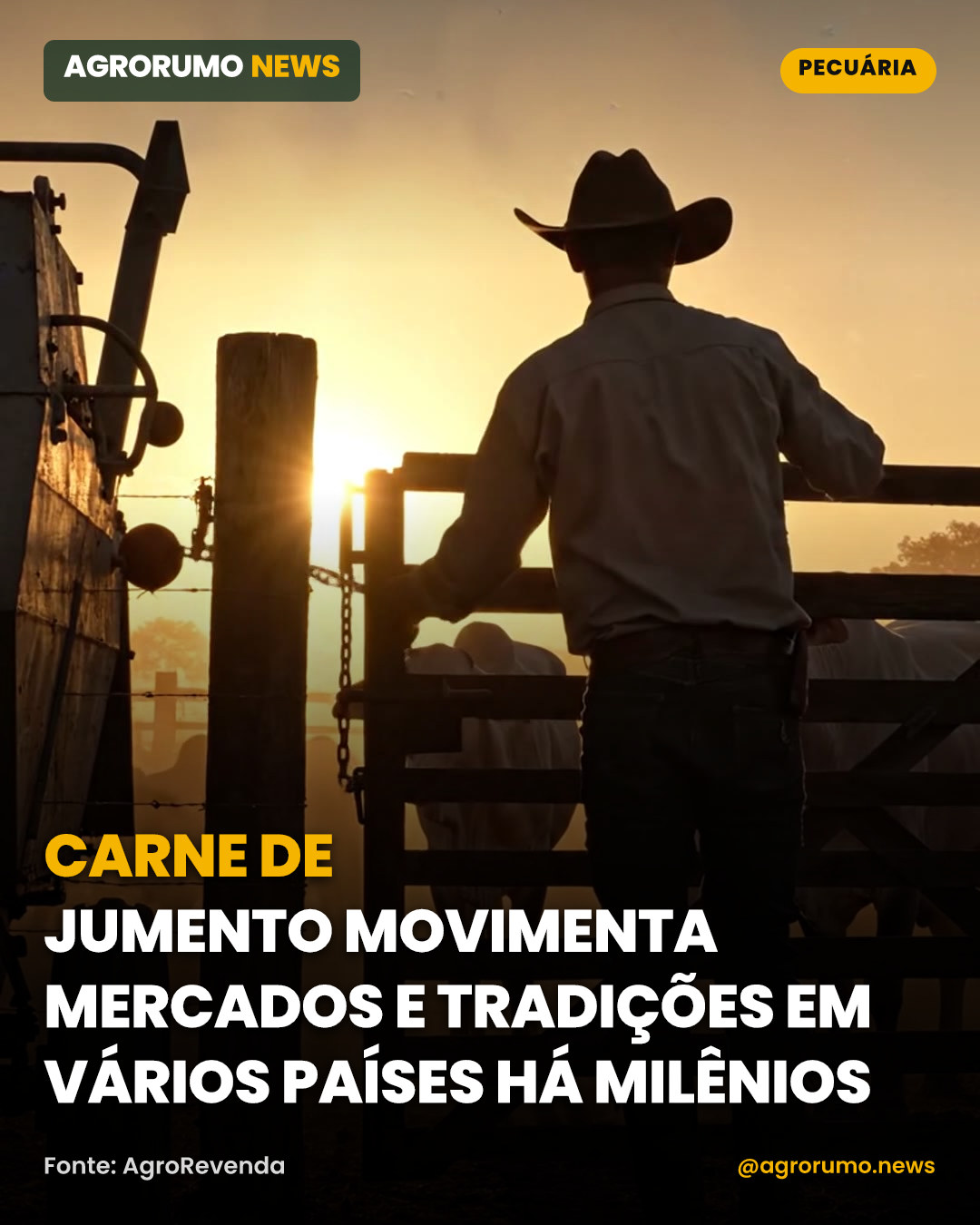 Carne de jumento movimenta mercados e tradições em vários países há milênios