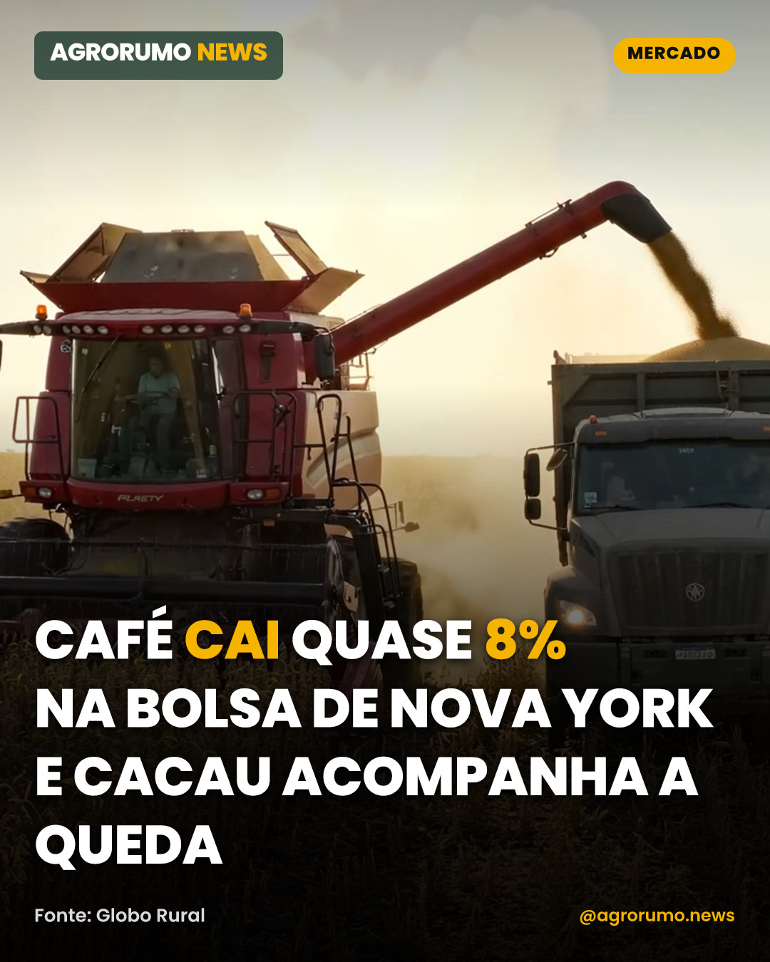 Café cai quase 8% na bolsa de Nova York e cacau acompanha a queda