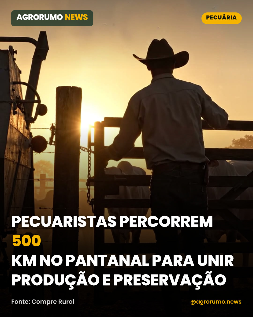Pecuaristas percorrem 500 km no Pantanal para unir produção e preservação