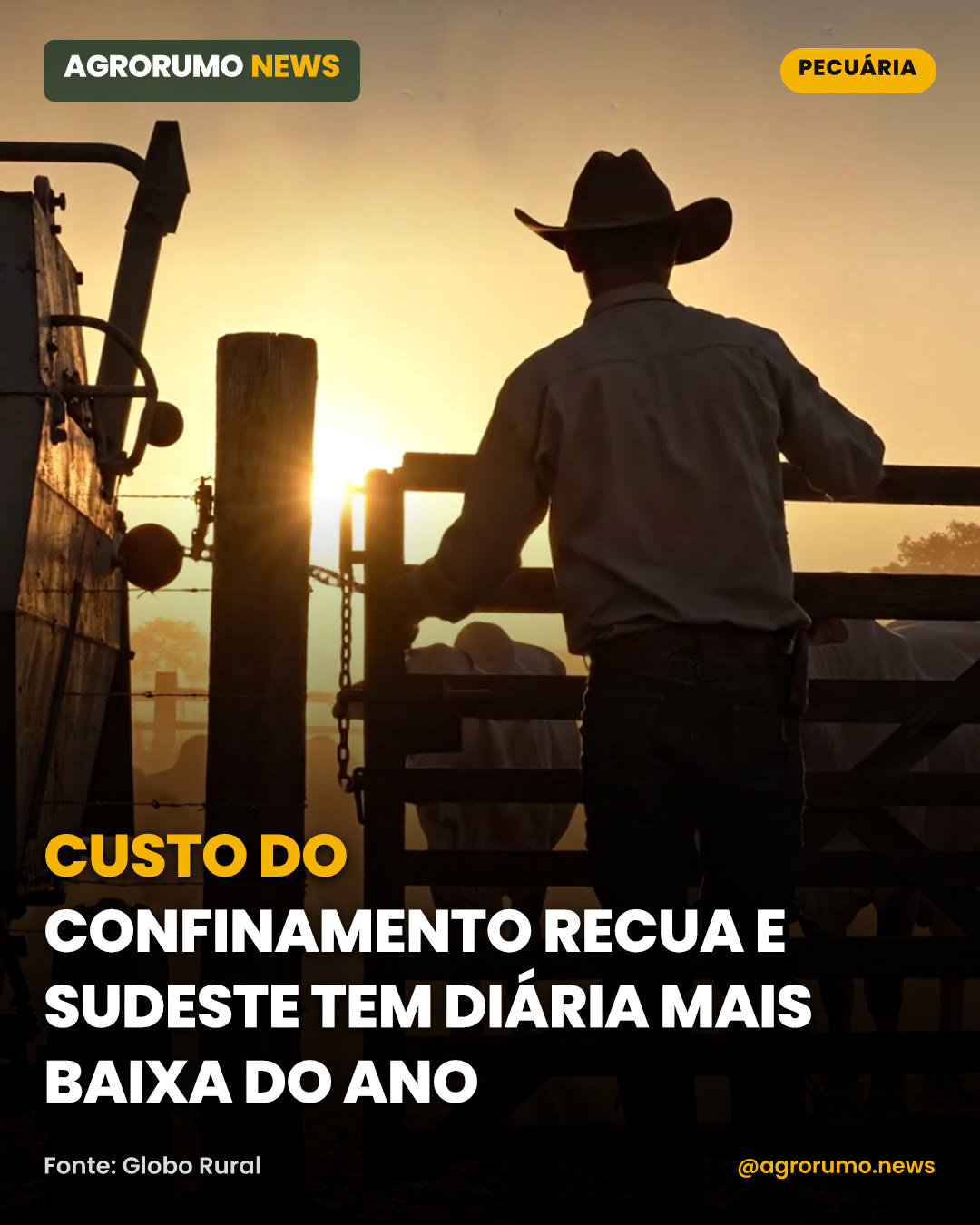 Custo do confinamento recua e Sudeste tem diária mais baixa do ano