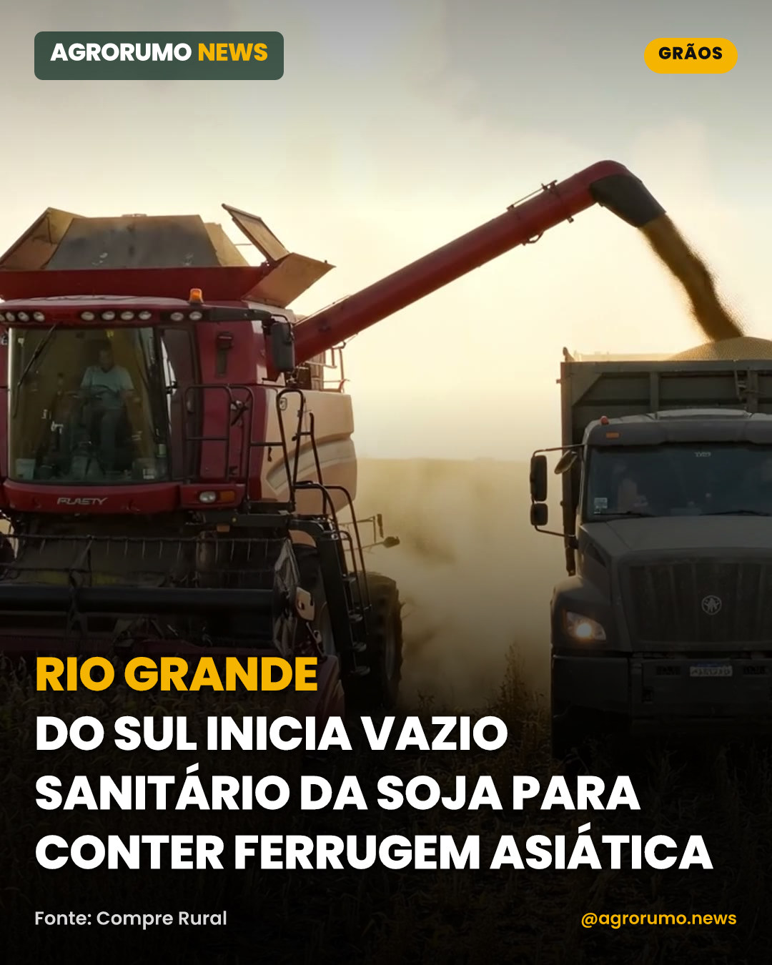 Rio Grande do Sul inicia vazio sanitário da soja para conter ferrugem asiática
