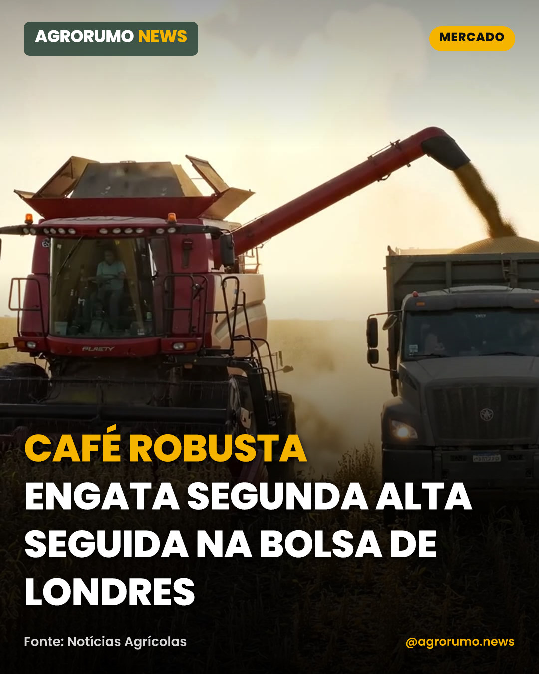 Café robusta engata segunda alta seguida na bolsa de Londres