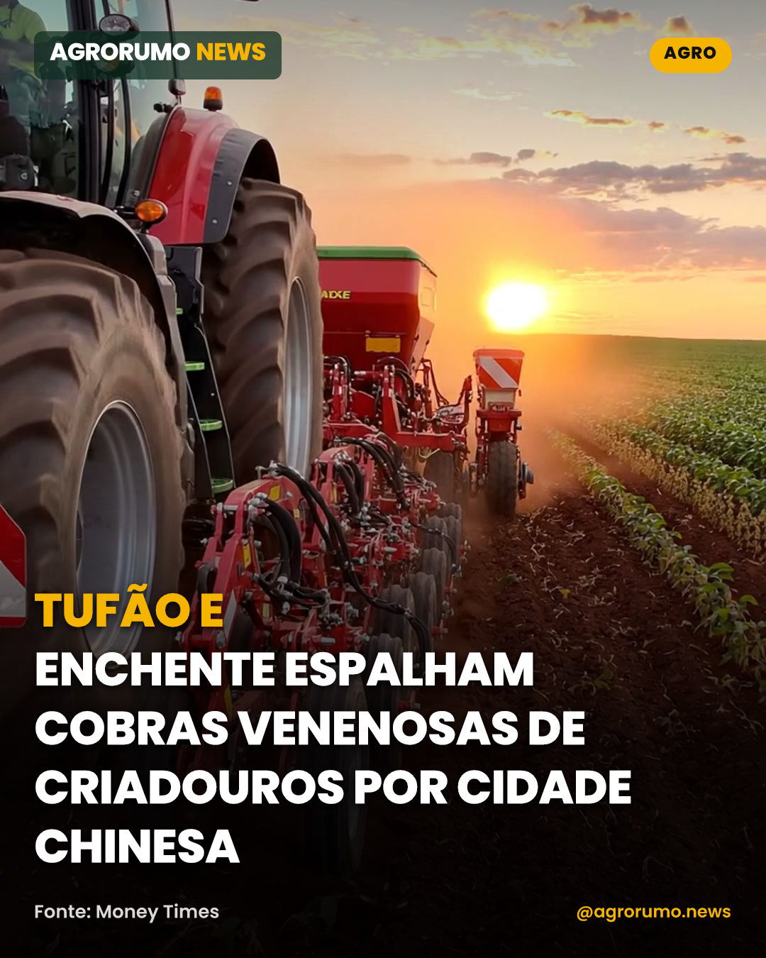 Tufão e enchente espalham cobras venenosas de criadouros por cidade chinesa