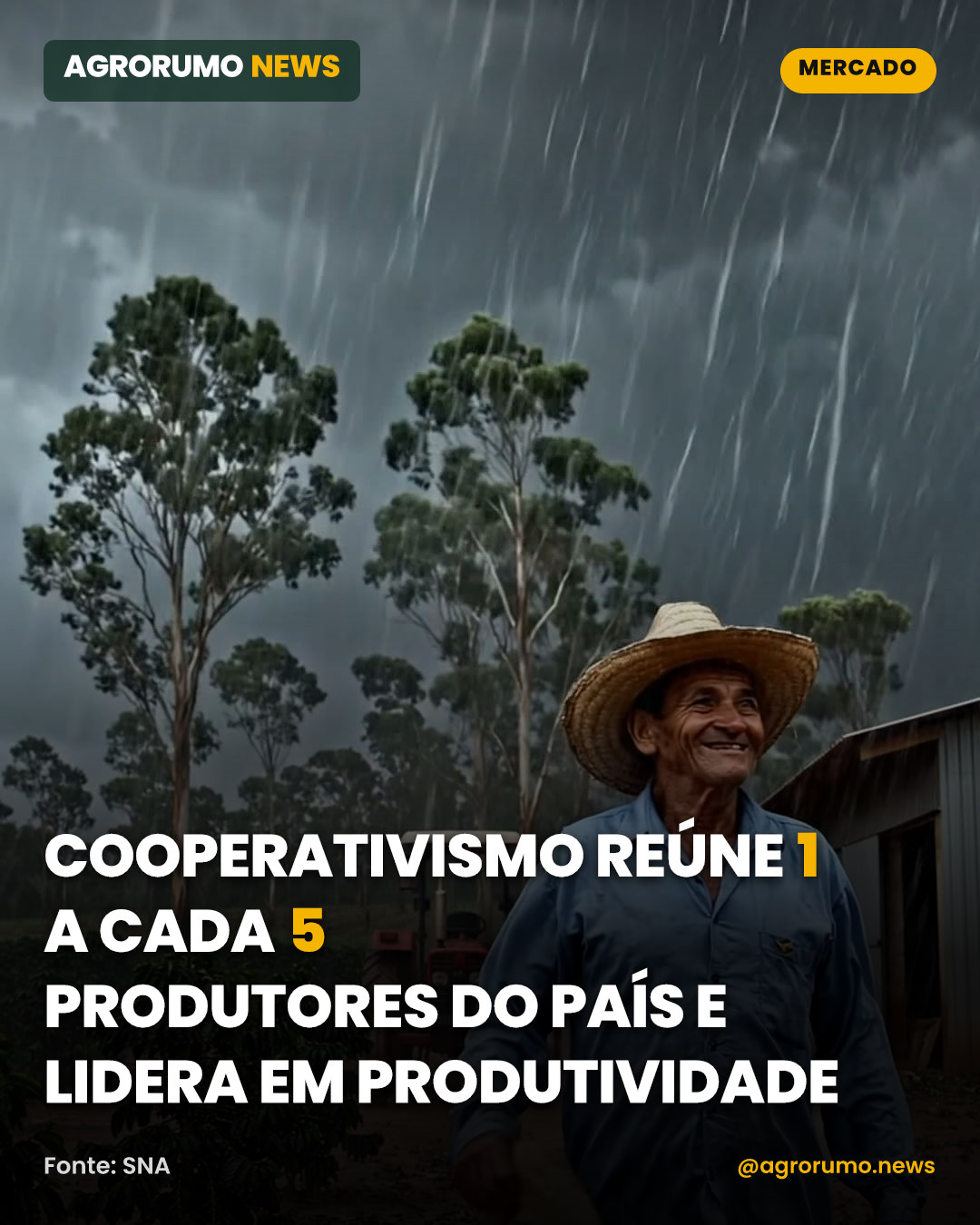 Cooperativismo reúne 1 a cada 5 produtores do país e lidera em produtividade