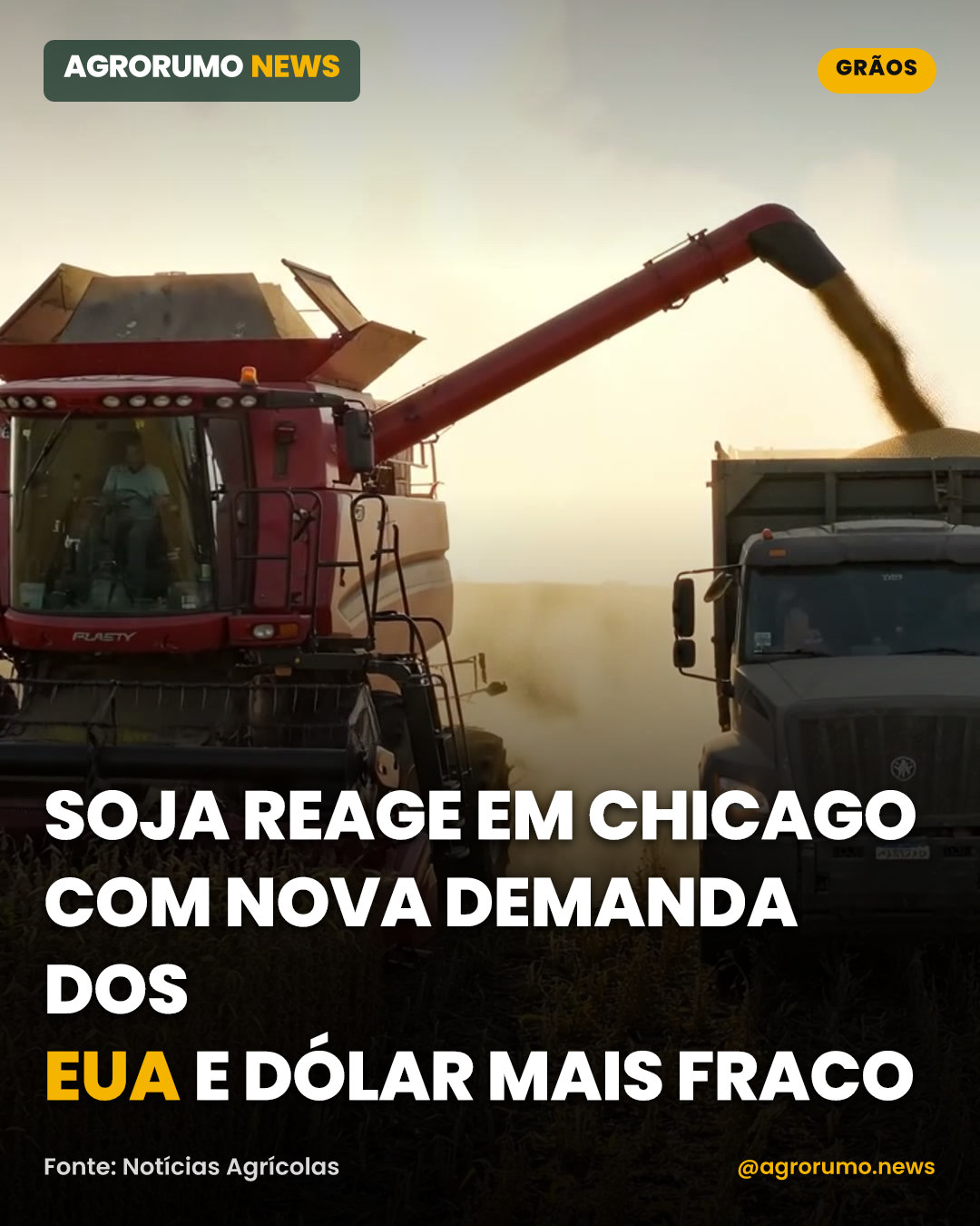 Soja reage em Chicago com nova demanda dos EUA e dólar mais fraco