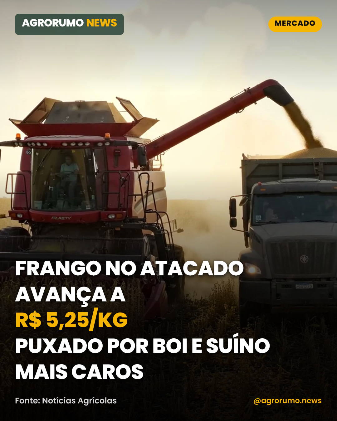 Frango no atacado avança a R$ 5,25/kg puxado por boi e suíno mais caros