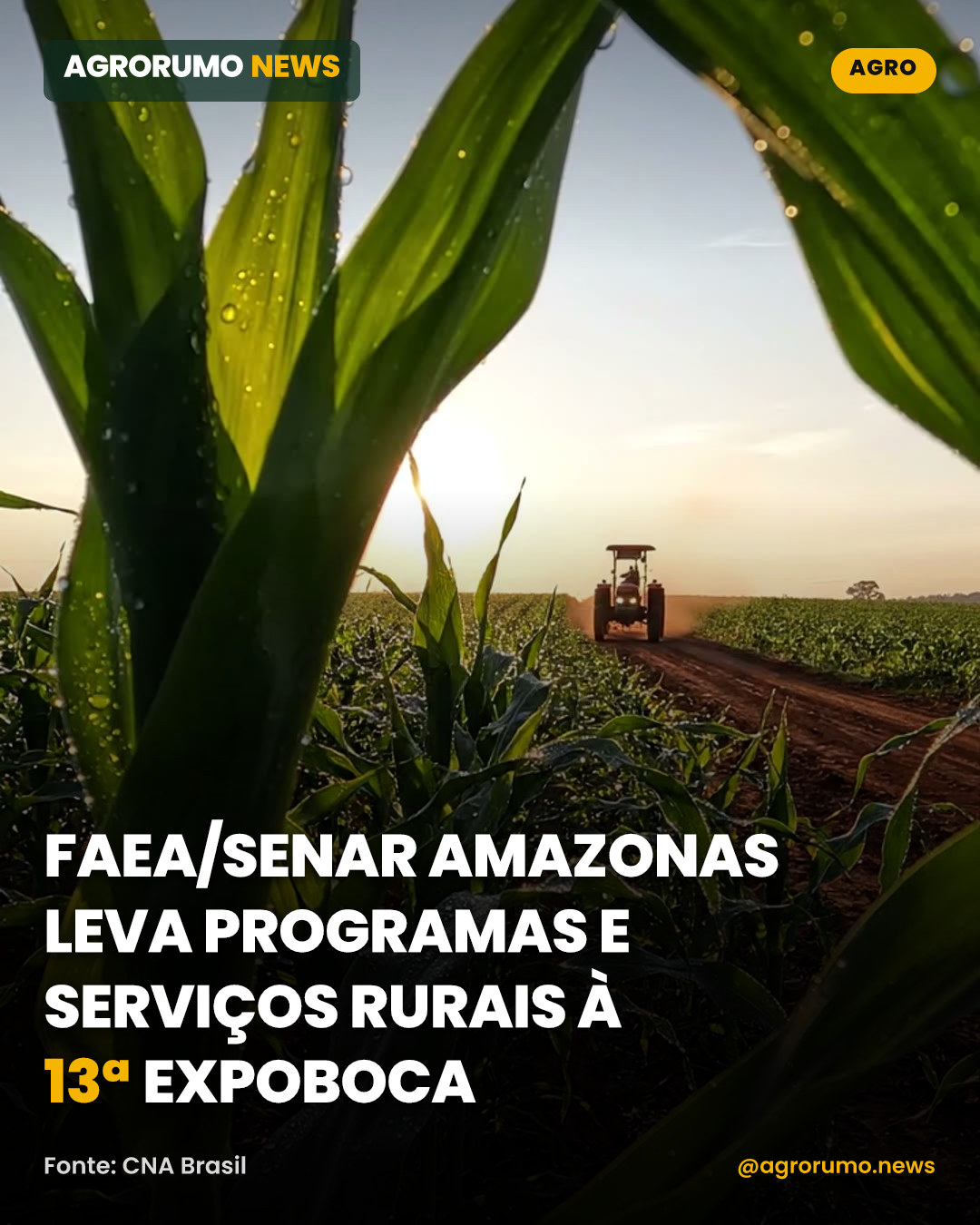 Faea/Senar Amazonas leva programas e serviços rurais à 13ª Expoboca