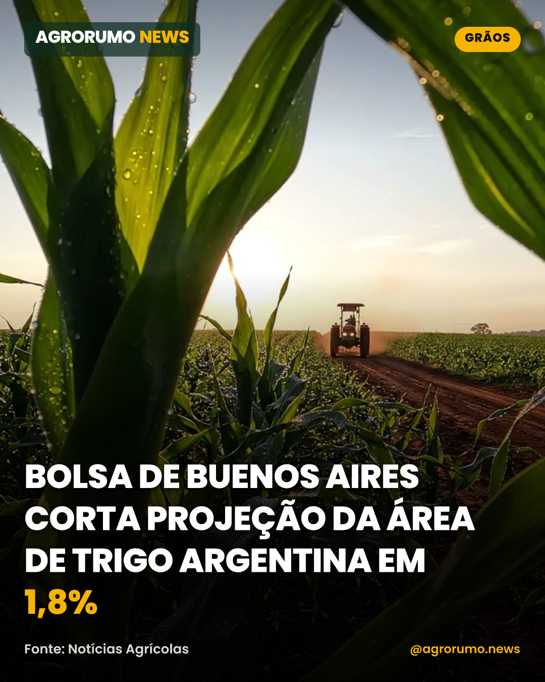 Bolsa de Buenos Aires corta projeção da área de trigo argentina em 1,8%